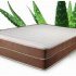 Signature Sleep Contour 8-Inch Independently Encased Coil Mattress Review